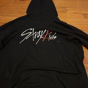 Stray kids hoddie